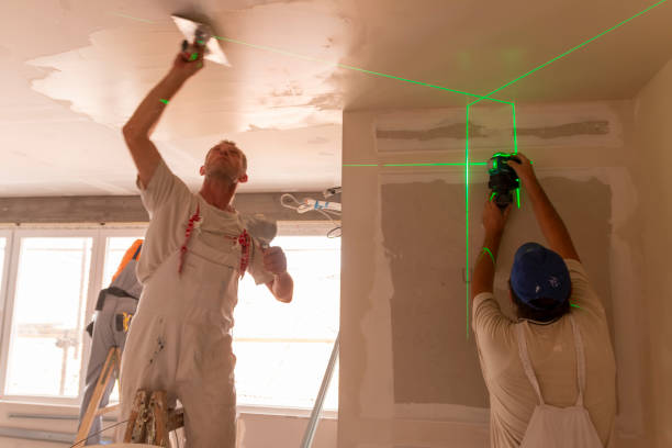 Best Drywall Installation  in Carlinvle, IL